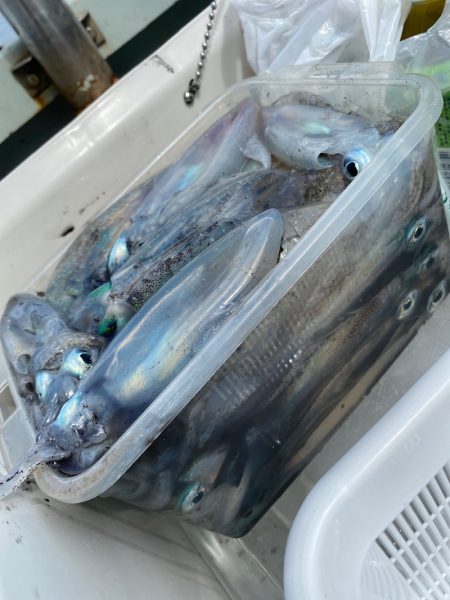 あみや渡船 JIGBOY 釣果