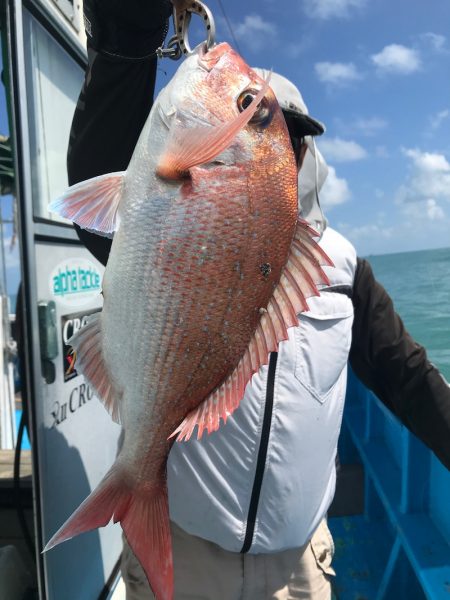 太平丸 釣果