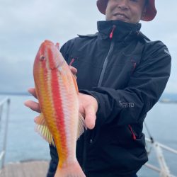 龍神丸(鹿児島) 釣果