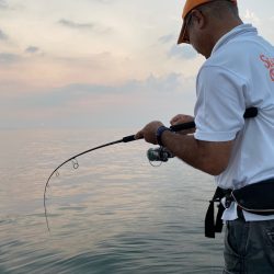 「LaGooN」蒼陽丸 日和号　 釣果