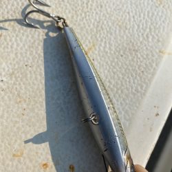 「LaGooN」蒼陽丸 日和号　 釣果