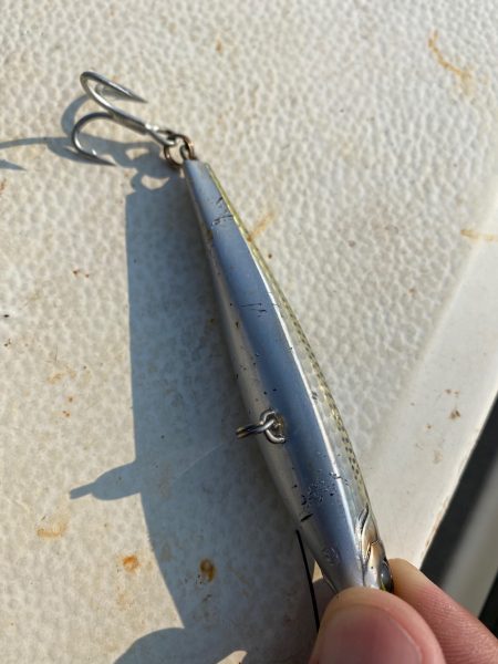 「LaGooN」蒼陽丸 日和号　 釣果