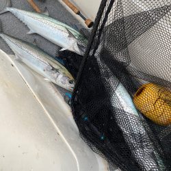 「LaGooN」蒼陽丸 日和号　 釣果