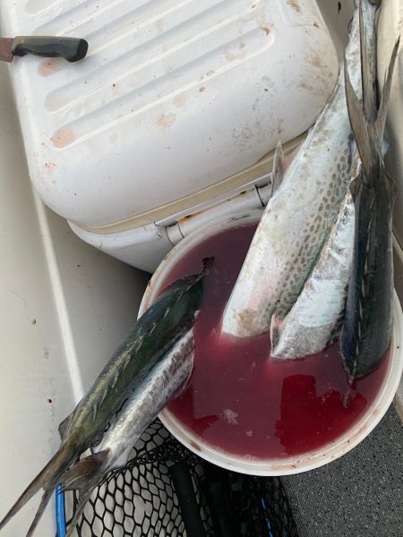「LaGooN」蒼陽丸 日和号　 釣果