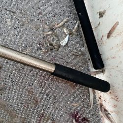 「LaGooN」蒼陽丸 日和号　 釣果