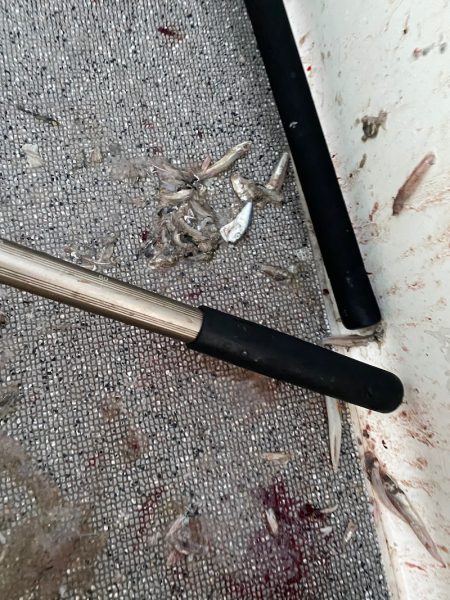 「LaGooN」蒼陽丸 日和号　 釣果