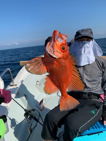 さくら丸 釣果