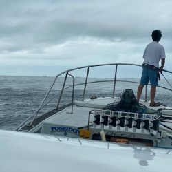 Monster Rush! 釣果