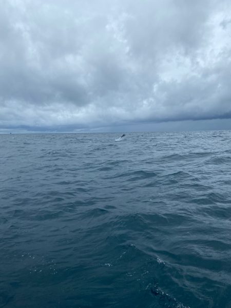 Monster Rush! 釣果