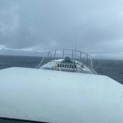 Monster Rush! 釣果