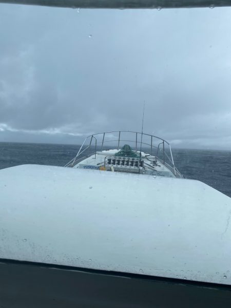 Monster Rush! 釣果