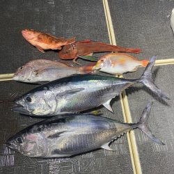 Monster Rush! 釣果