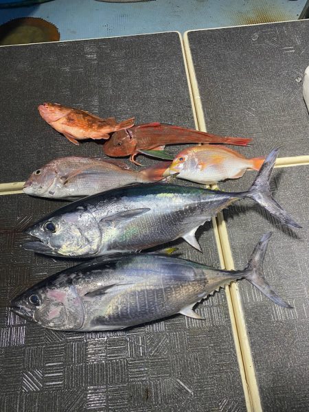 Monster Rush! 釣果