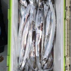 フィッシング キッタカ 釣果