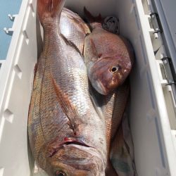 第二八坂丸 釣果