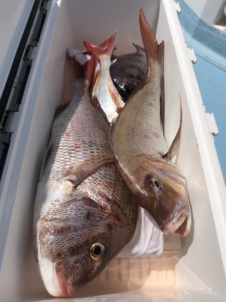 第二八坂丸 釣果