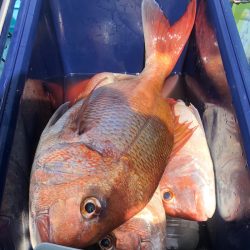 第二八坂丸 釣果