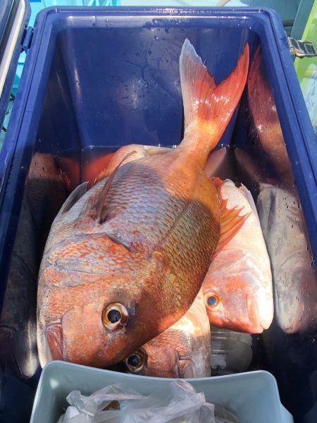 第二八坂丸 釣果