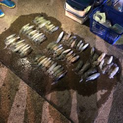 第二八坂丸 釣果