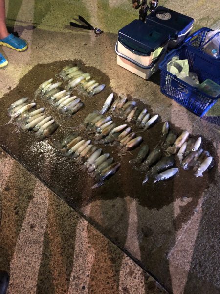 第二八坂丸 釣果