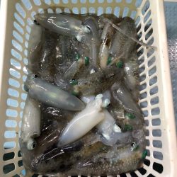 第二八坂丸 釣果