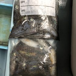 第二八坂丸 釣果