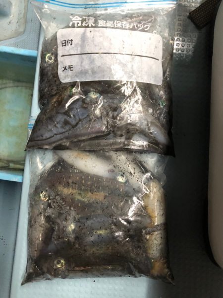 第二八坂丸 釣果