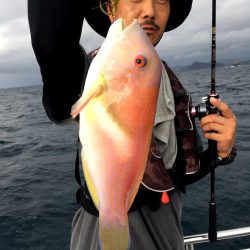 渡船屋たにぐち 釣果