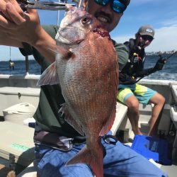 ランスルー 釣果