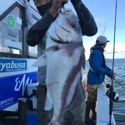 ランスルー 釣果