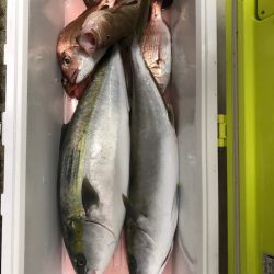 龍神丸（鹿児島） 釣果