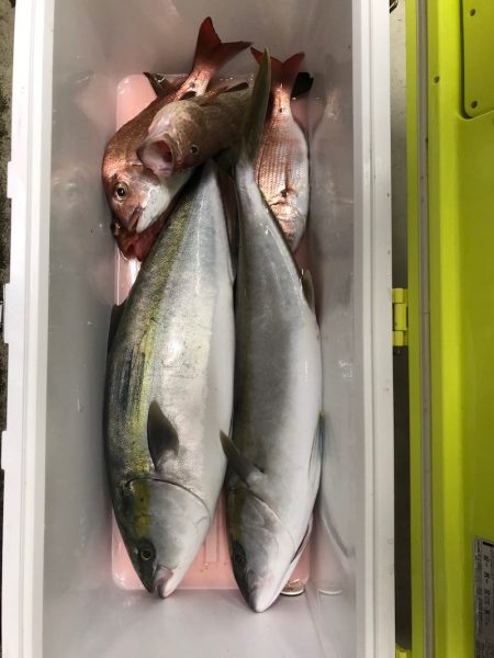 龍神丸（鹿児島） 釣果