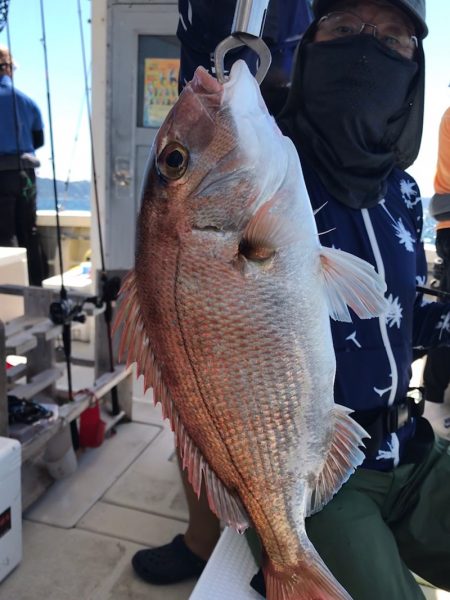大雄丸 釣果