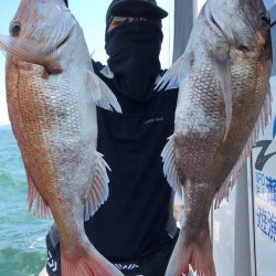 フィッシング　キッタカ 釣果