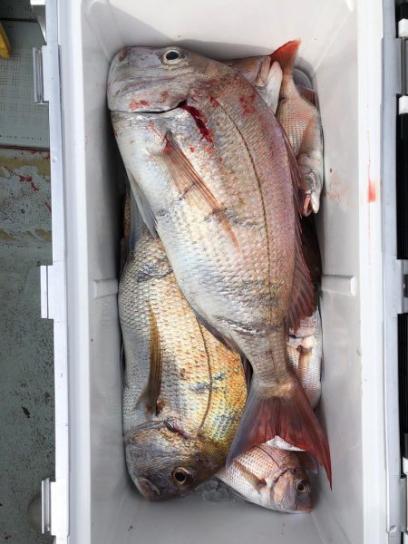 フィッシング　キッタカ 釣果