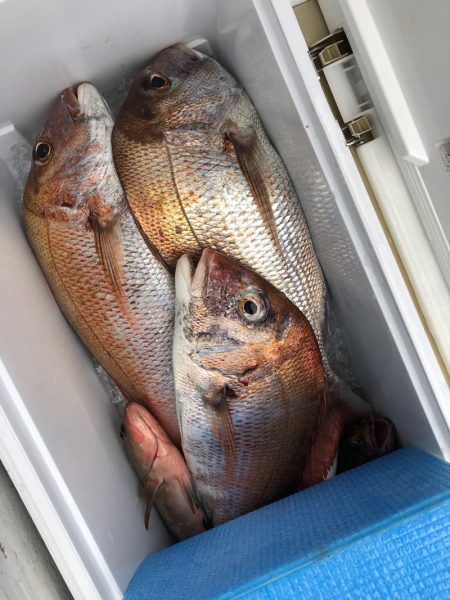 フィッシング　キッタカ 釣果