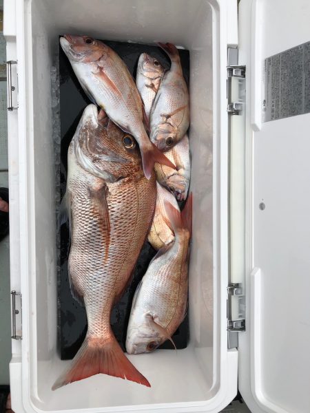 フィッシング キッタカ 釣果