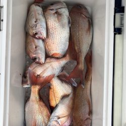 フィッシング キッタカ 釣果