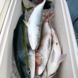 第二八坂丸 釣果