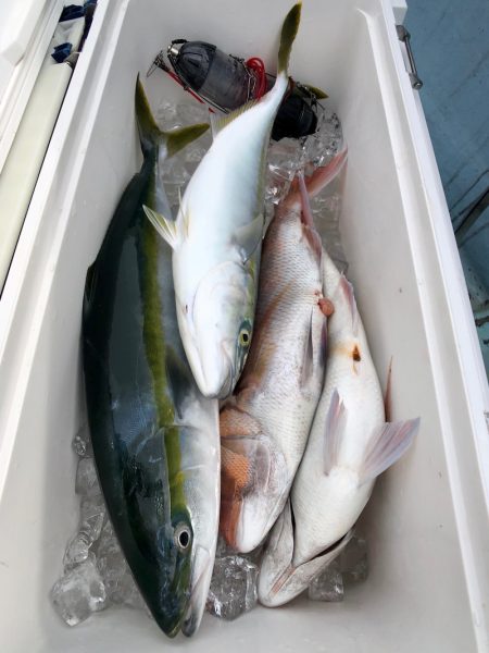 第二八坂丸 釣果