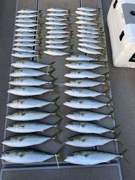 SeaRide(シーライド) 釣果