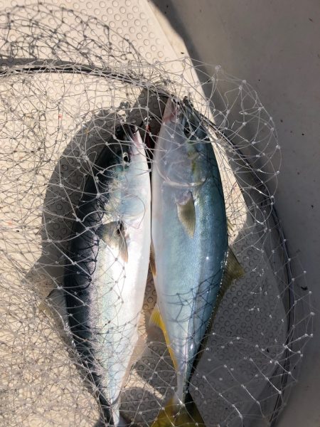 海友丸 釣果