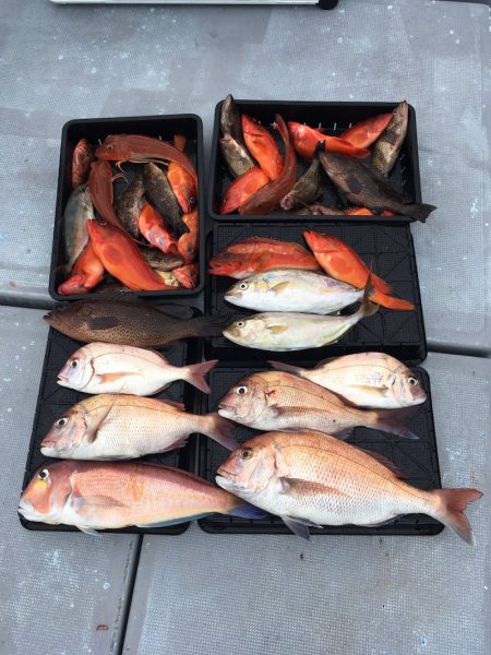 渡船屋たにぐち 釣果