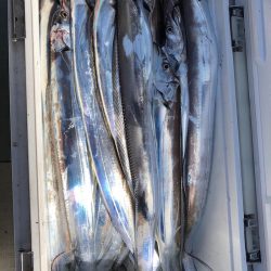 フィッシング　キッタカ 釣果