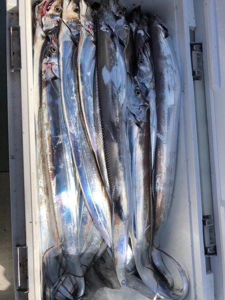 フィッシング　キッタカ 釣果