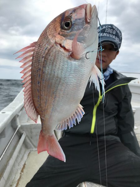 ランスルー 釣果