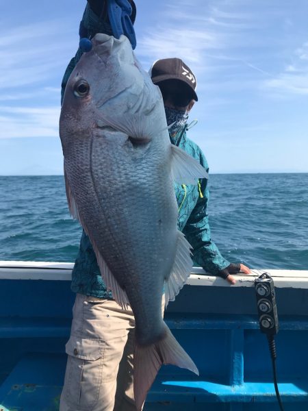 太平丸 釣果