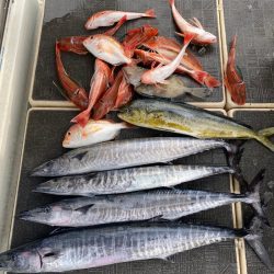 Monster Rush! 釣果