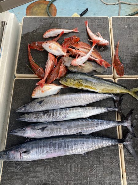 Monster Rush! 釣果