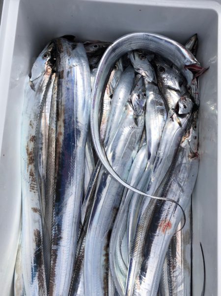 フィッシング　キッタカ 釣果